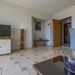 Buneta M *